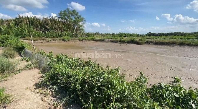Chính chủ cần bán gấp lô đất mặt tiền sông rạch cá gấu lớn