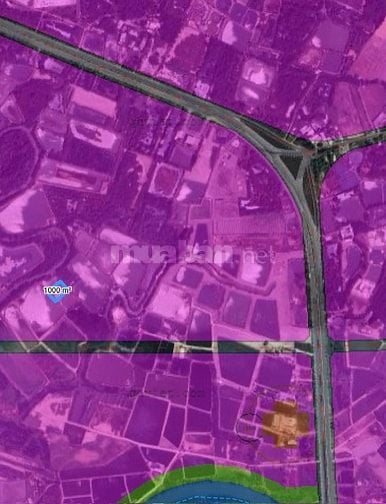 Chính chủ cần bán gấp lô đất mặt tiền sông rạch cá gấu lớn