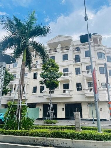 Cho thuê 2 căn liền kề đường số 3, KDC Cityland, P.10, GV: 10m x20m 