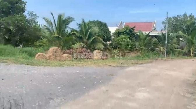 71x125 1MẪU LÚA,PHỦ HỒNG, 1 SẸC DDT839,XE TẢI ĐẤT, CHỢ,B.VIỆN,TRƯỜ500M