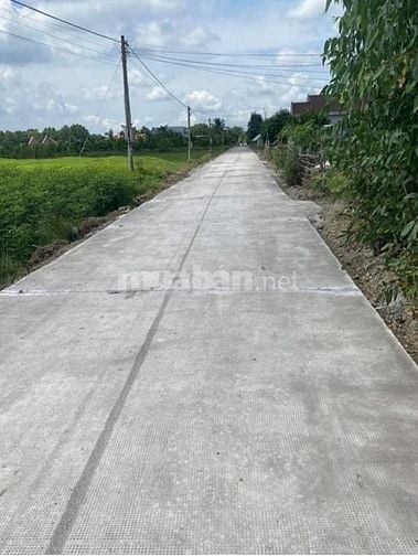 71x125 1MẪU LÚA,PHỦ HỒNG, 1 SẸC DDT839,XE TẢI ĐẤT, CHỢ,B.VIỆN,TRƯỜ500M