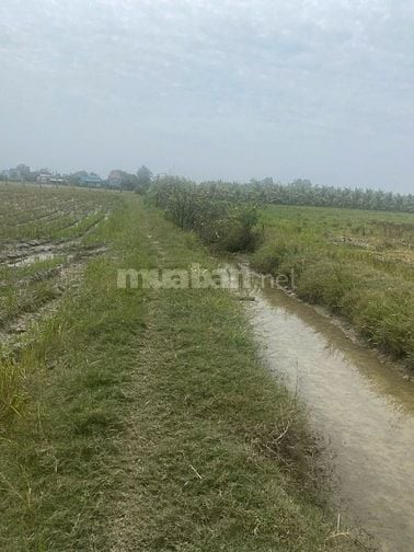 Ngộp bán rẻ lô đất hẻm 2.940m² thuộc Tân Nhựt, Bình Chánh giá 1,5tr/m²