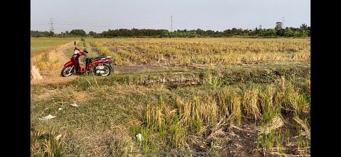 Ngộp bán rẻ lô đất hẻm 2.940m² thuộc Tân Nhựt, Bình Chánh giá 1,5tr/m²