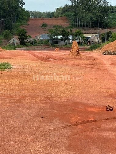 ĐẤT SÀO NGAY KCN Tân Tiến giá siêu hời 480 triệu,  1000m2