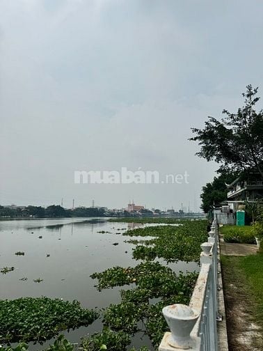 Đất mặt tiền view sông, 124m2(6x21m) Bình Lợi Bình Thạnh, xây hầm 4t