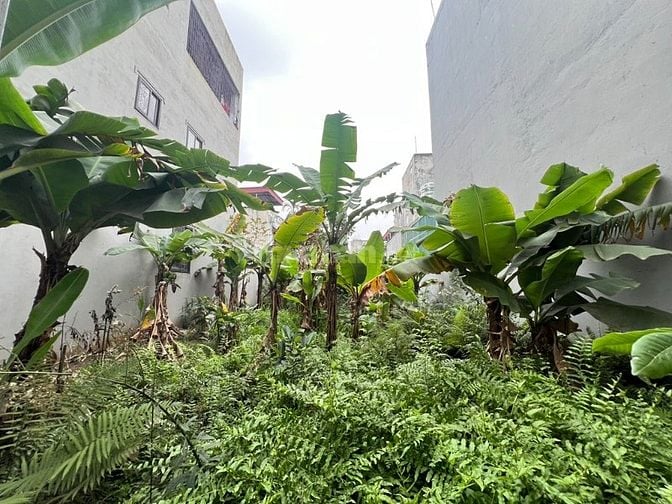 PHÚC LỢI. 136M2 ĐẤT. GIÁ TỐT.  Ô TÔ ĐỖ GẦN, VÀI BƯỚC RA CHỢ. 10.8 TỶ 