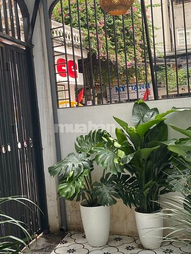 Cho thuê nhà Văn Miếu, full nội thất cao cấp từ A->Z, môi giới 80% HH
