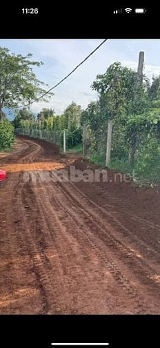 Cần bán 3,9 hecta Mặt tiền 270m Tại Ninh Gia, Đức Trọng, Lâm Đồng