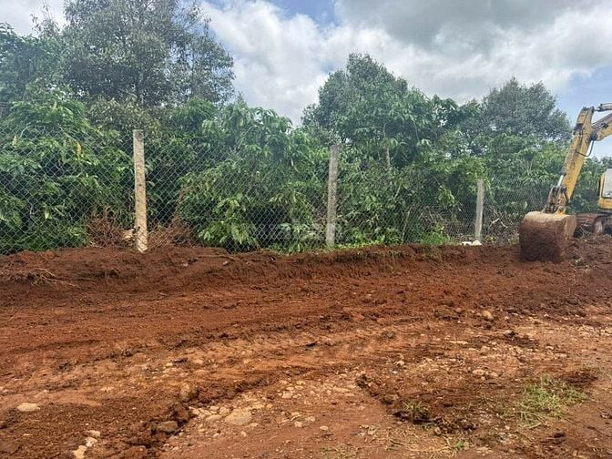 Cần bán 3,9 hecta Mặt tiền 270m Tại Ninh Gia, Đức Trọng, Lâm Đồng