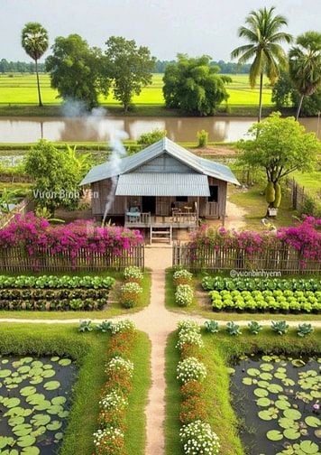 Tìm Đối Tác - Hợp tác vốn cho BĐS Vườn Sinh thái …