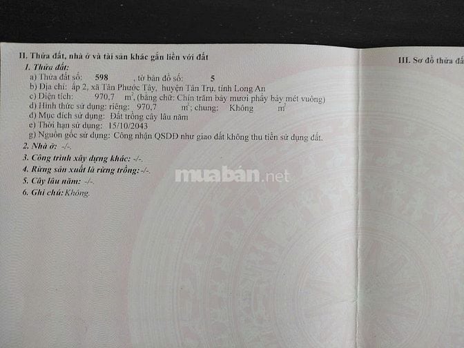 Cần bán 5653m2 đất lúa ven sông ấp 3,Tân Phước Tây, Tân Trụ, Long An