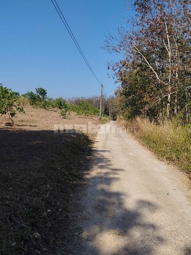 Cần tiền làm ăn bán gấp trong tháng 8