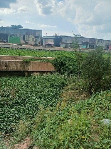 Lô Đất hẻm Ba Gác sát Kênh Tham Lương dt 5x20m giá 4.6 tỷ 