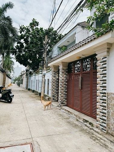 Cho thuê nguyên căn biệt thư sân vườn 546 m2 Q.7