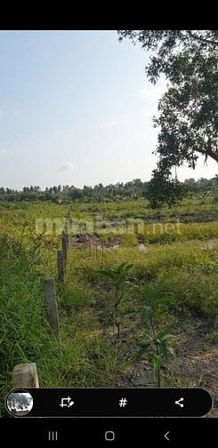 Bán 586m thổ cư mặt tiền đường 8 Kênh Đông Xã Tân Lập 2 Tân Phước