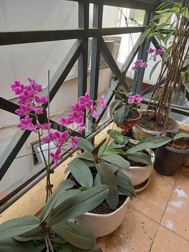 Bán nhà địa chỉ 8 ngõ 91, Nguyễn Phúc Lai, gần hồ Hoàng Cầu chính chủ