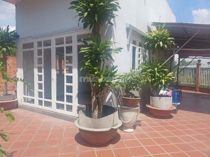 Nhà vườn xinh mặt tiền phố chính