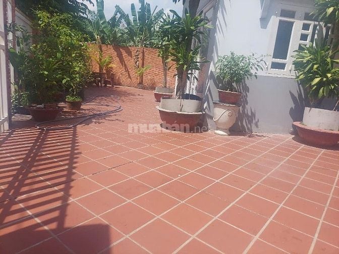 Nhà vườn xinh mặt tiền phố chính