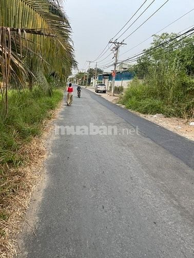 Cho thuê xưởng, xã Lê Minh Xuân , Bình Chánh