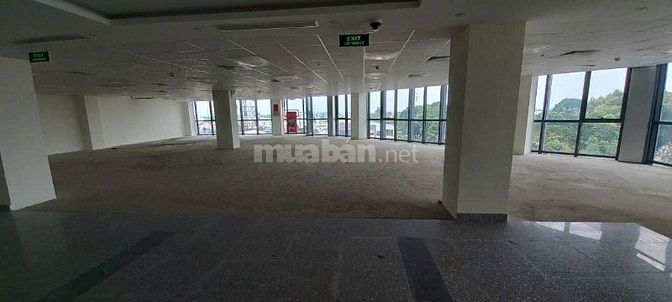 Tòa nhà văn phòng cho thuê MB Bank Tây Ninh
