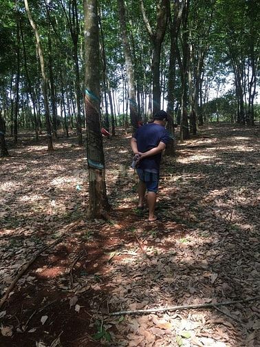 Chính chủ - Bán đất cao su mặt tiền đường kết nối DT 753 đi qua ngã tư