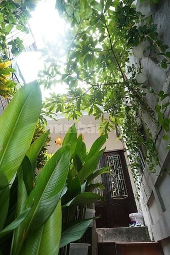 Cần chuyển nhượng căn hộ Dịch vụ Homstay  tại 19 Thợ Nhuộm