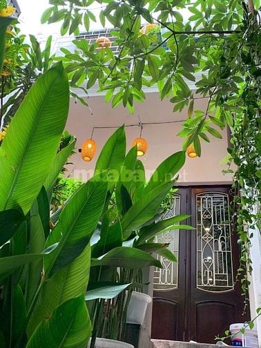 Cần chuyển nhượng căn hộ Dịch vụ Homstay  tại 19 Thợ Nhuộm