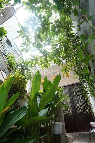 Cần chuyển nhượng căn hộ Dịch vụ Homstay  tại 19 Thợ Nhuộm