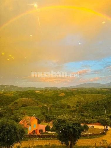 CHÍNH CHỦ- PHÁP LÝ RÕ RÀNG - THOÁNG ĐẸP
