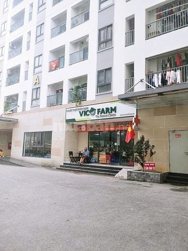 Chính chủ cần bán Căn hộ tầng 8 (60m2,2PN,2WC)-IRIS TOWER Thuận An
