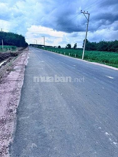 Đất chính chủ, mặt tiền đường nhựa 15m Long Bình