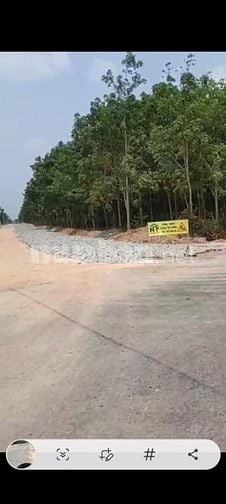 Đất chính chủ, mặt tiền đường nhựa 15m Long Bình