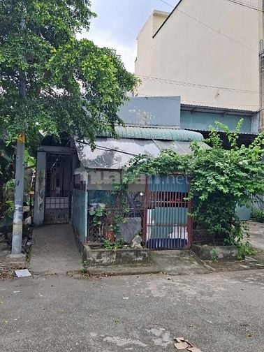 Bán đất đường 50 Phước Long B Quận 9 cũ giá 11,5 tỷ