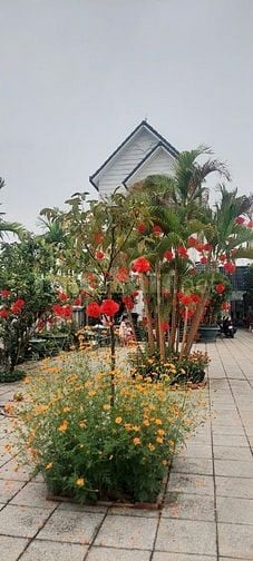 Chính chủ bán biệt thự 2 MT đường Đỗ Đăng Tuyền, Củ Chi