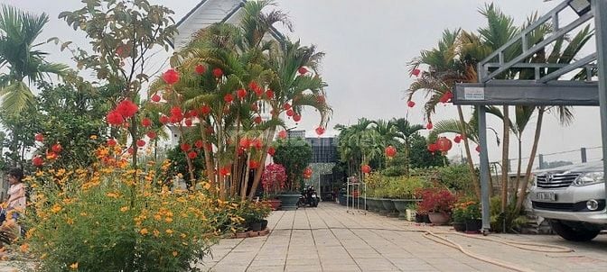 Chính chủ bán biệt thự 2 MT đường Đỗ Đăng Tuyền, Củ Chi