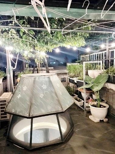 Bán gấp! Đường Nguyễn Thượng Hiền, Phường 5, Bình Thạnh-Giá 2 tỷ 990