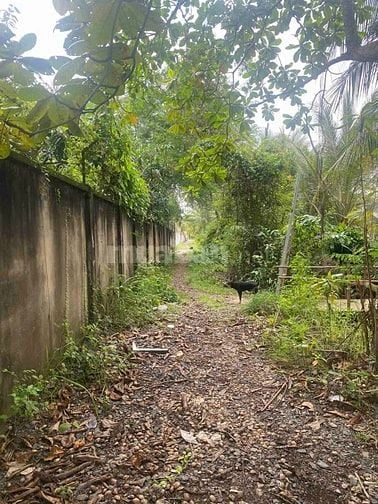 CHÍNH CHỦ GỬI BÁN LÔ ĐẤT LỚN HIẾM CÓ TẠI LONG PHƯỚC - THỦ ĐỨC (QUẬN 