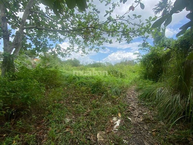 CHÍNH CHỦ GỬI BÁN LÔ ĐẤT LỚN HIẾM CÓ TẠI LONG PHƯỚC - THỦ ĐỨC (QUẬN 