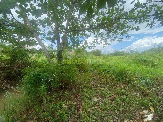 CHÍNH CHỦ GỬI BÁN LÔ ĐẤT LỚN HIẾM CÓ TẠI LONG PHƯỚC - THỦ ĐỨC (QUẬN 