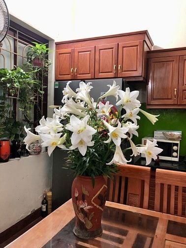 Bán nhà 5 tầng phố Hoàng Quốc Việt, ô tô ra vào, 1 nhà ra phố. 35 tỷ