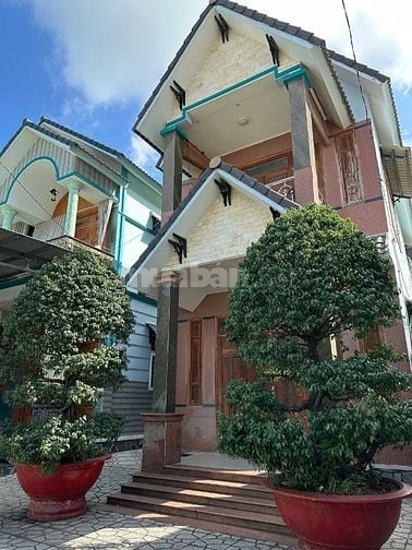 CẦN BÁN GẤP CẶP CHẬU CÂY SẢNH 