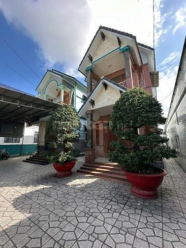 CẦN BÁN GẤP CẶP CHẬU CÂY SẢNH 