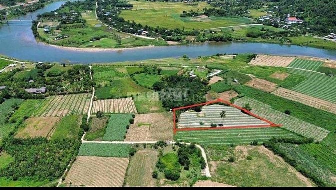 chào bán lô đất vườn có đất ở diện tích 3650m có 600m đất ở