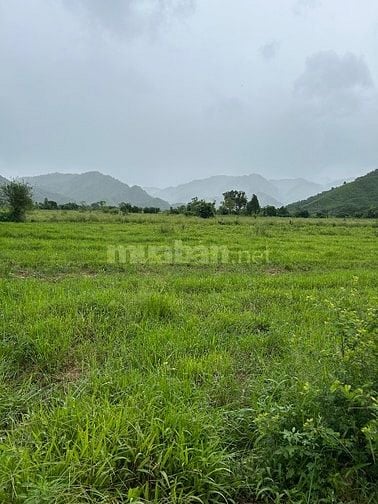chào bán lô đất vườn có đất ở diện tích 3650m có 600m đất ở