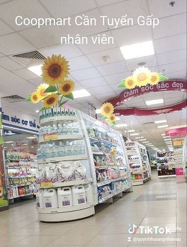 Cần Bổ Sung Gấp NV Giúp việc Tạp Vụ làm việc tại Siêu Thị Coop Mart 