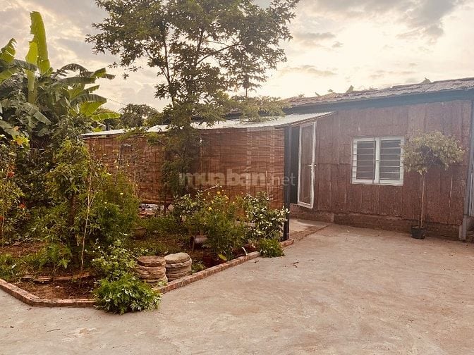 Nhượng nhà vườn tại Bãi giữa sông Hồng