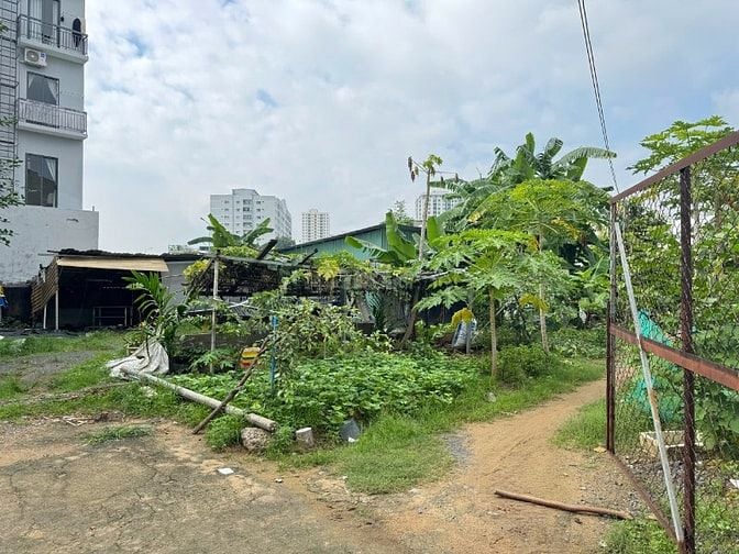 100tr/m2 đất đẹp xây cao, tiện phân lô - đầu tư