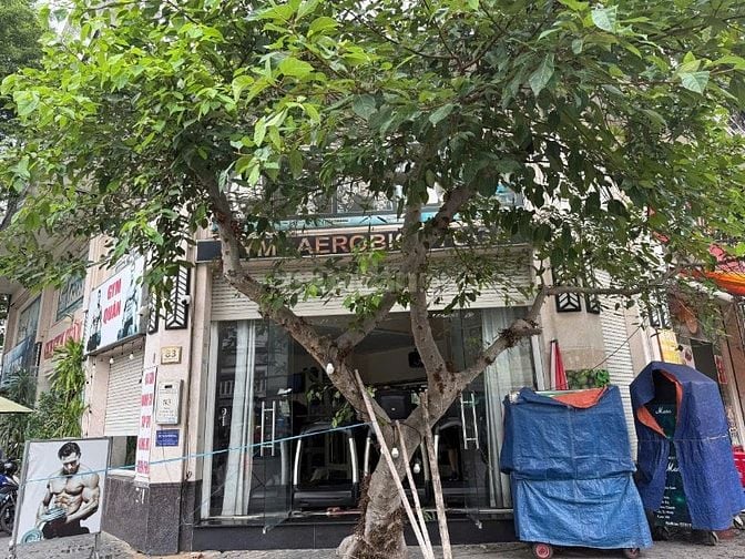 Cho thuê nhà góc 2 mặt tiền khu Cityland Gò Vấp, 5x20m, DTSD 500m2