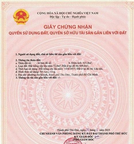 Bán đất khu Trần Não, 722,7m², mặt bằng lớn hiếm có, giá 270 triệu/m2