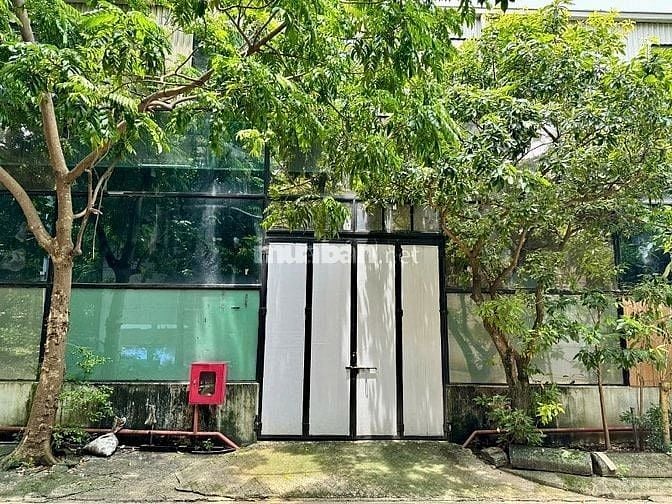 Công ty cp BLG cần tuyển kế toán tổng hợp